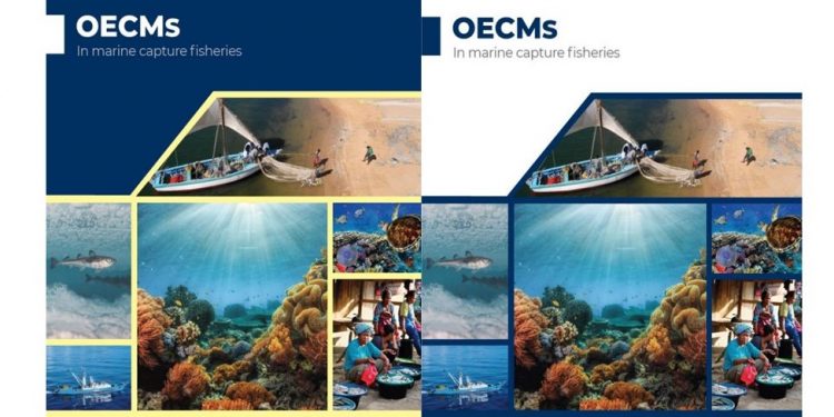 OECMs in Marine Capture Fisheries