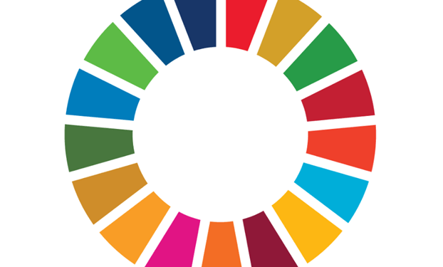 Practical Guidance for the UN Global Compact Sustainable Ocean Principles