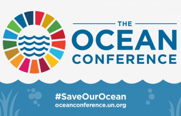 UN Ocean Conference: Joint submission by the IUCN Fisheries Expert Group and EBCD
