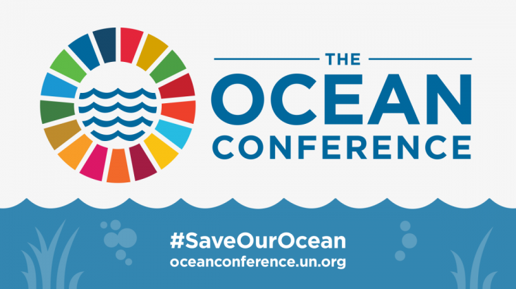 UN Ocean Conference: Joint submission by the IUCN Fisheries Expert Group and EBCD