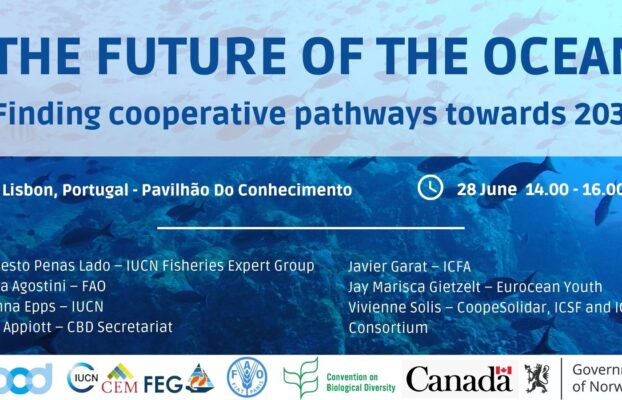 The Future of the Ocean: Finding Cooperative Pathways towards 2030