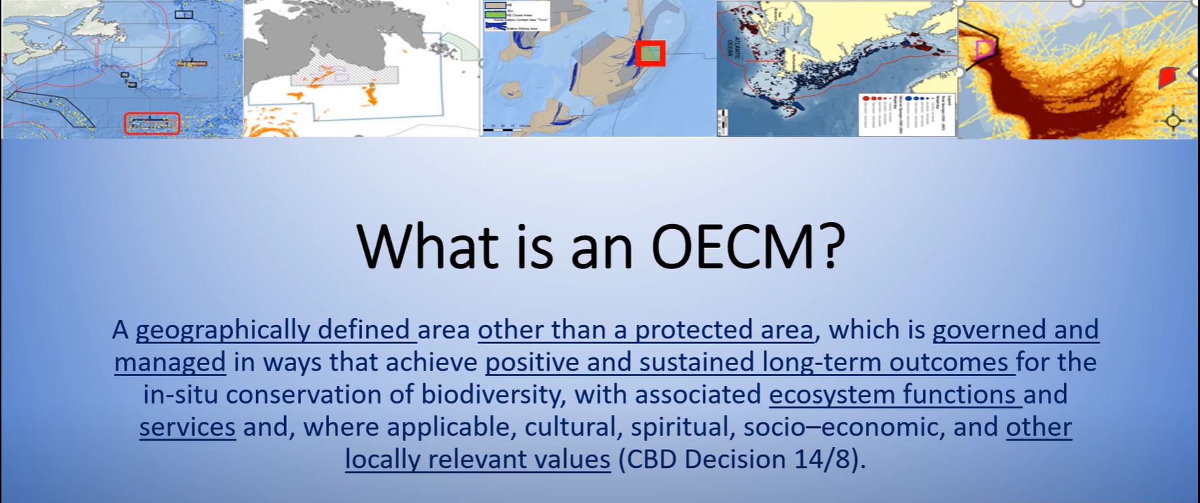 UN Fish Stock Agreement: Serge Garcia informs State Parties about fisheries OECMs and their role in strengthening the Ecosystem Approach to Fisheries