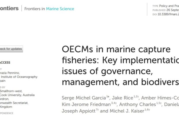 OECMs in marine capture fisheries: Key implementation issues of governance, management, and biodiversity