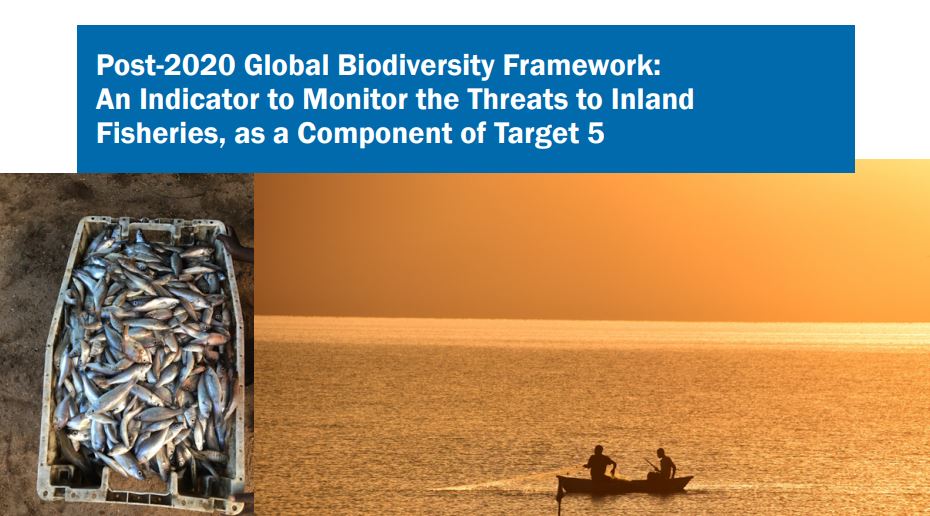 Post-2020 Global Biodiversity Framework: An Indicator to Monitor the Threats to Inland Fisheries, as a Component of Target 5