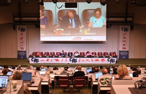 EBCD at CITES – 12-19 July 2024 – Geneva, Switzerland