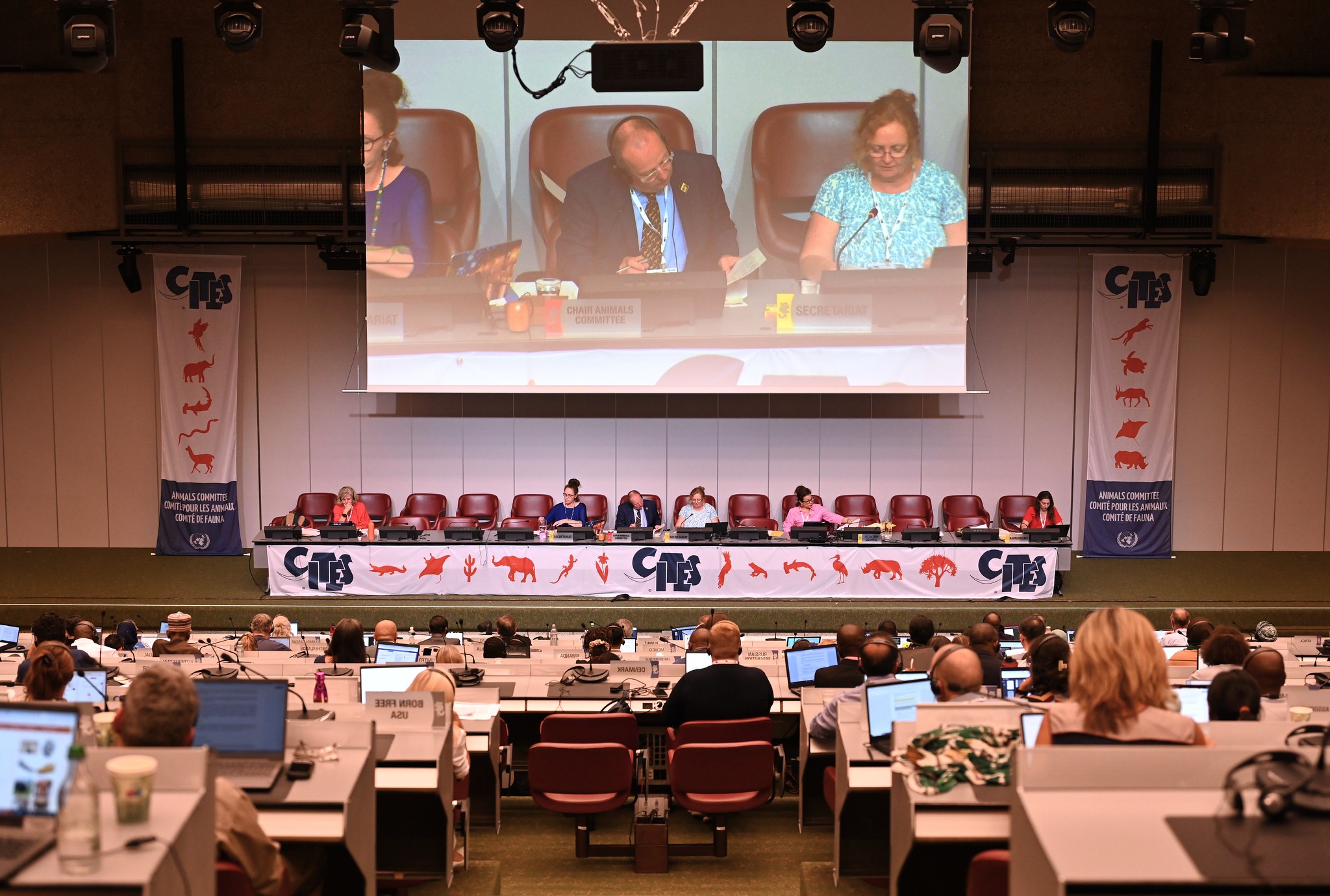 EBCD at CITES – 12-19 July 2024 – Geneva, Switzerland