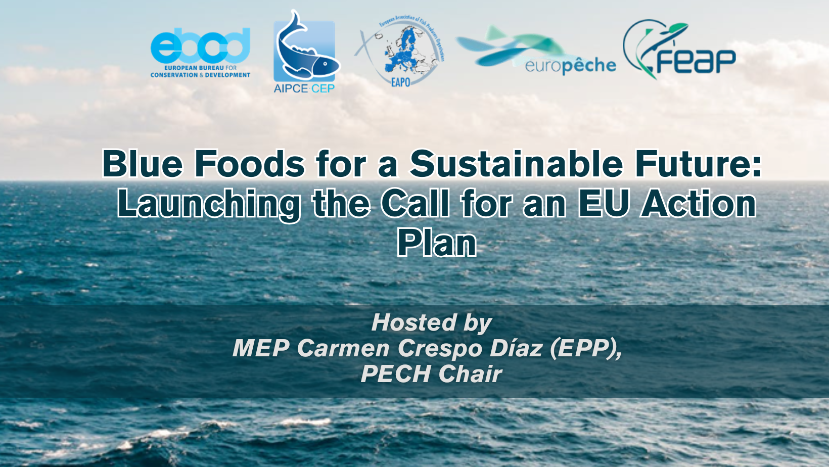 Blue Foods for a Sustainable Future: Launching the Call for an EU Action Plan