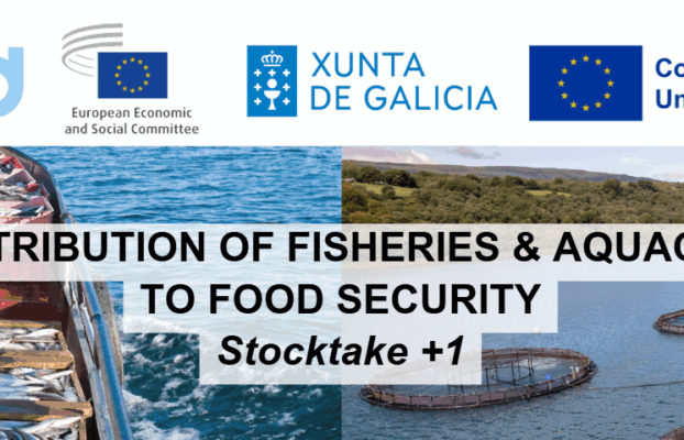The Contribution of Fisheries and Aquaculture to Food Security, Stocktake +1