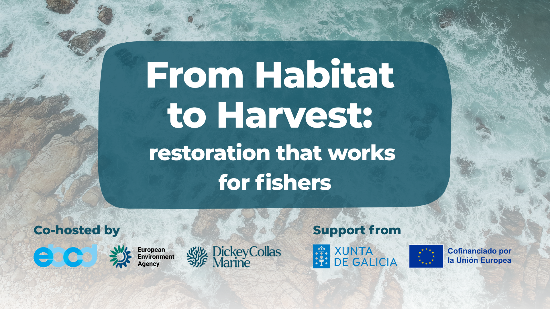 Workshop – From Habitat to Harvest: restoration that works for fishers